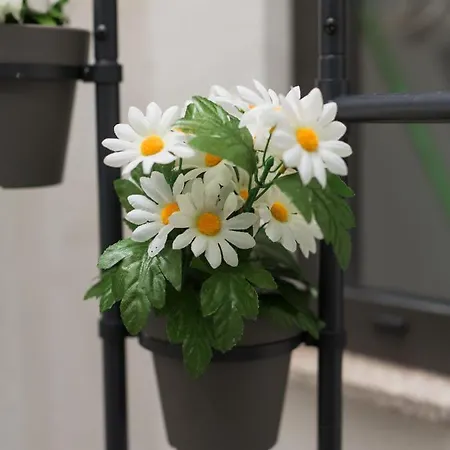 Guest Amparo Dollhouse Porto